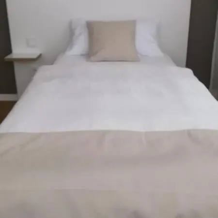 Tartaruga Beb Bologna